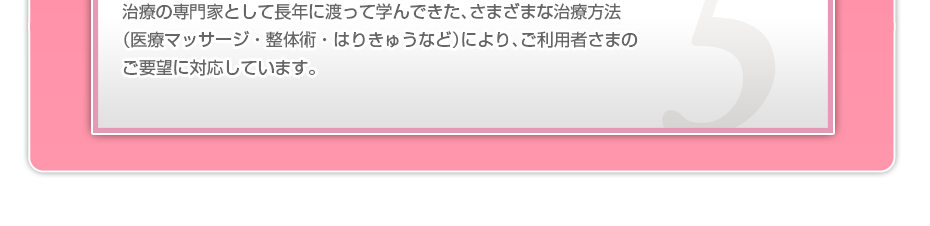 治療の専門家として長年に渡って学んできた、さまざまな治療方法(医療マッサージ・整体術・はりきゅうなど)により、ご利用者さまのご要望に対応しています。